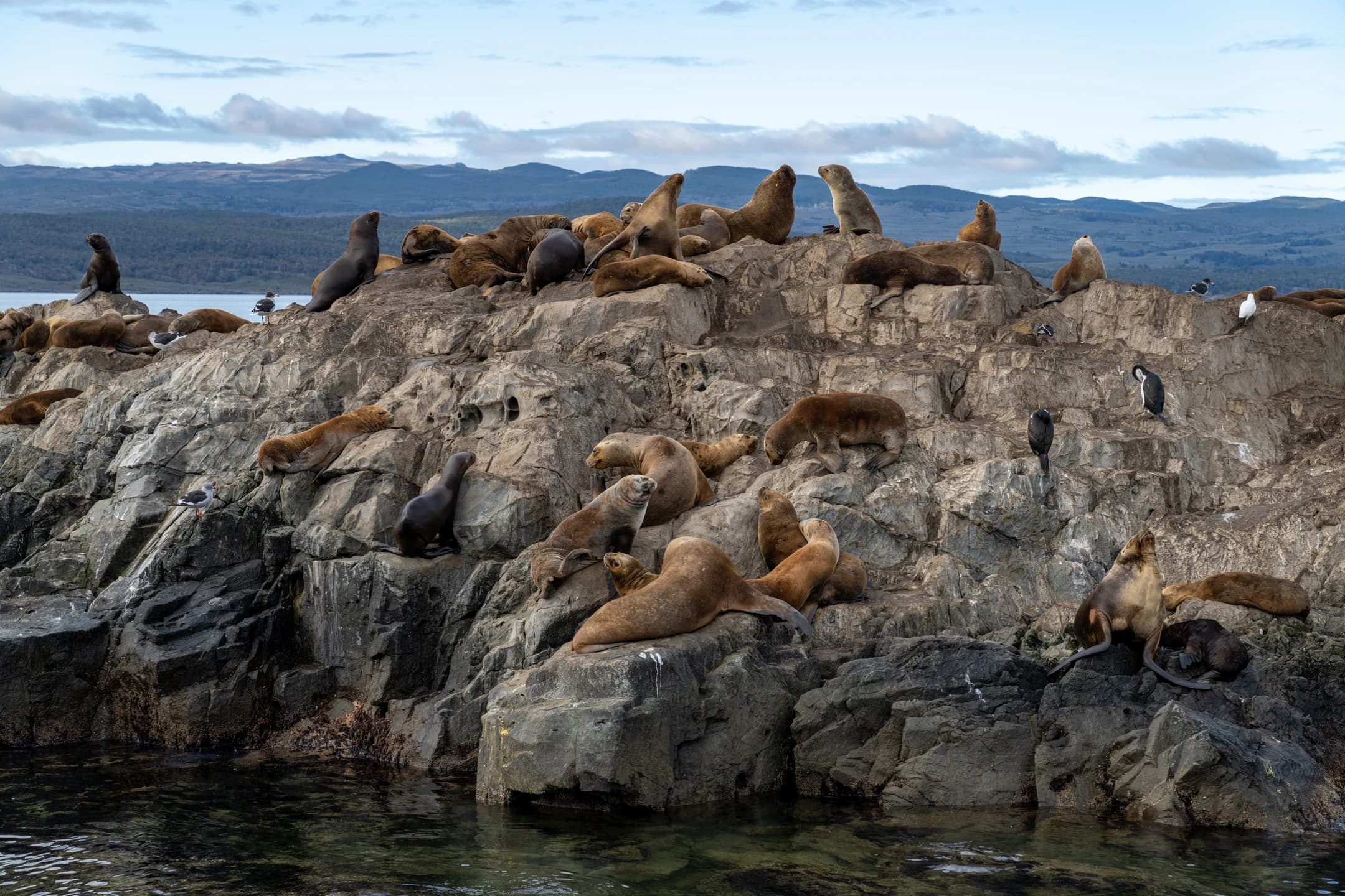 Navegación en el Canal de Beagle